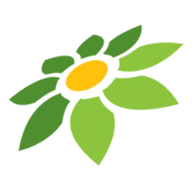 LINK RAJAMPO